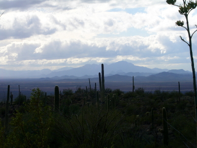 [Evening photo of cactuses with several layers of mountains in distance.]